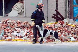 2011 New Zealand Earthquake